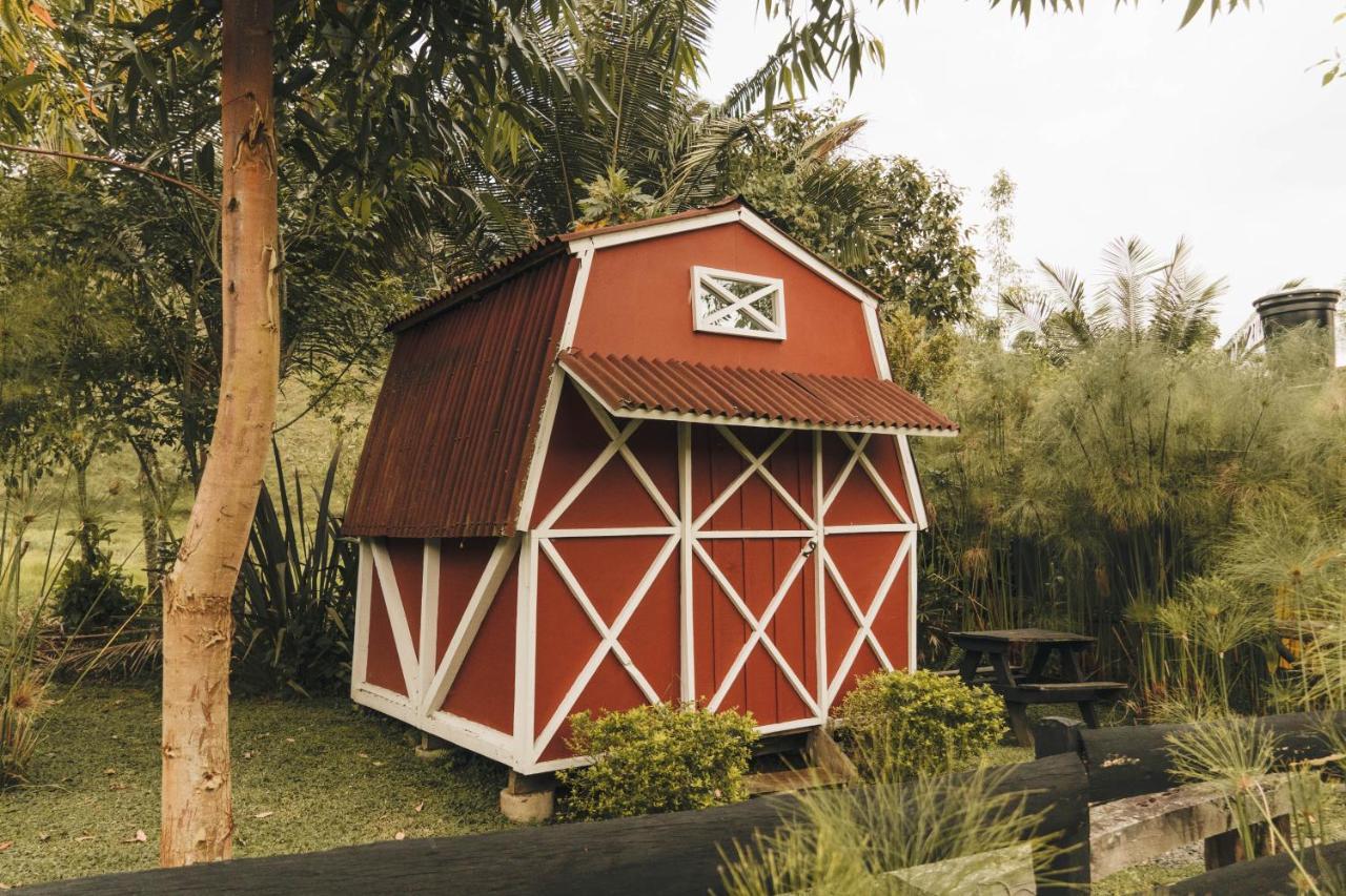 Redwood Campsite