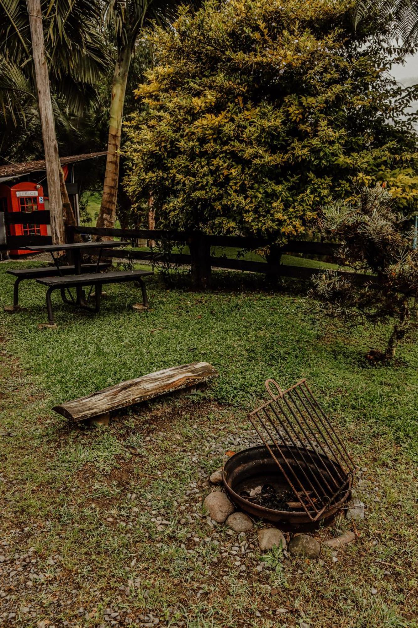 Campsite Redwood Salento