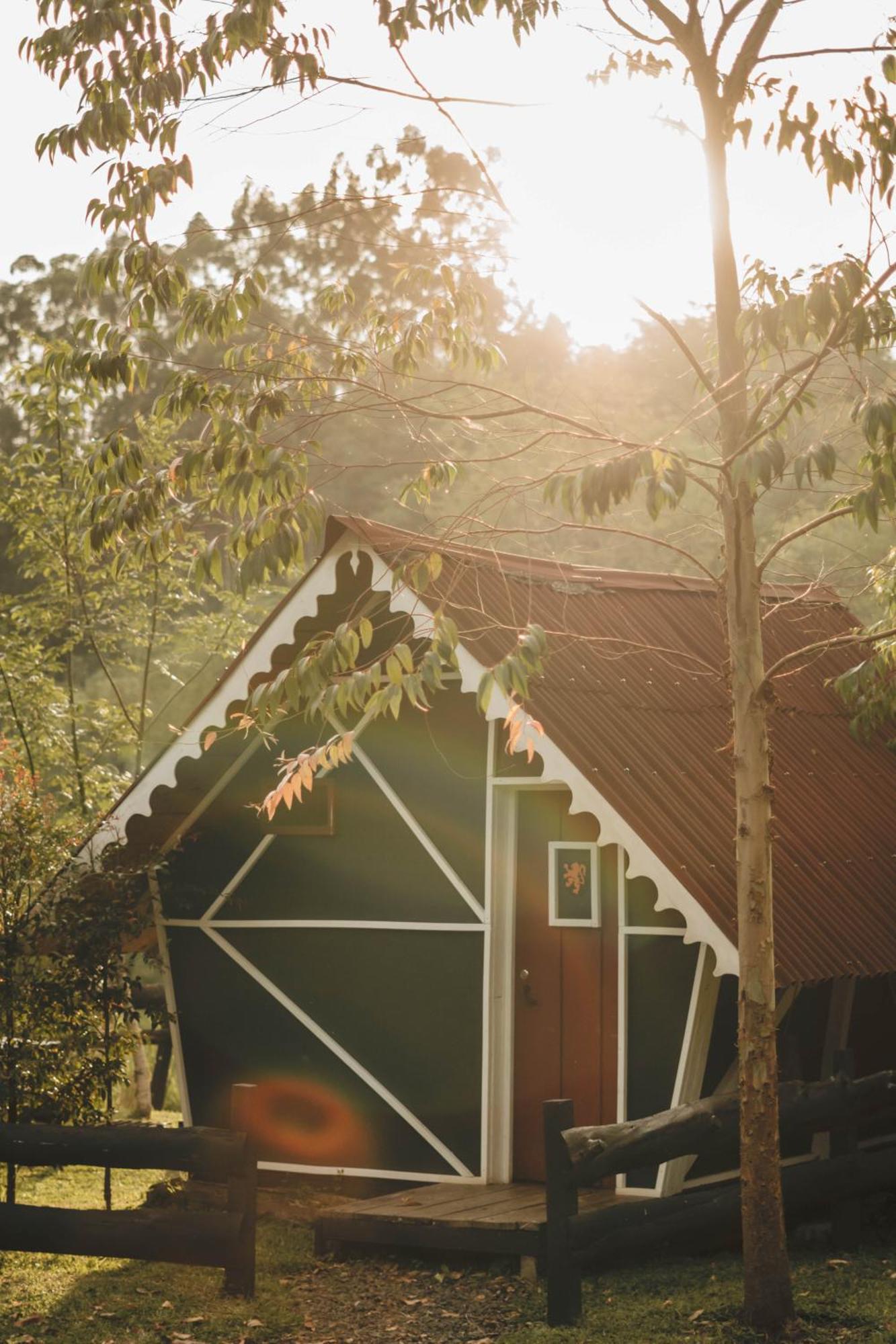 Campsite Redwood