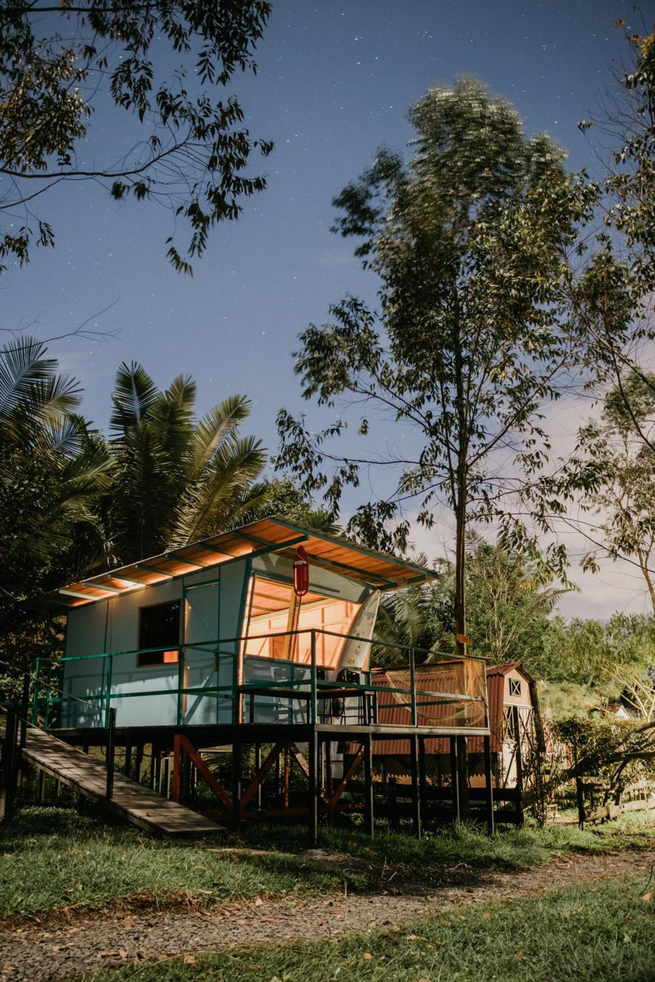 Campsite Redwood
