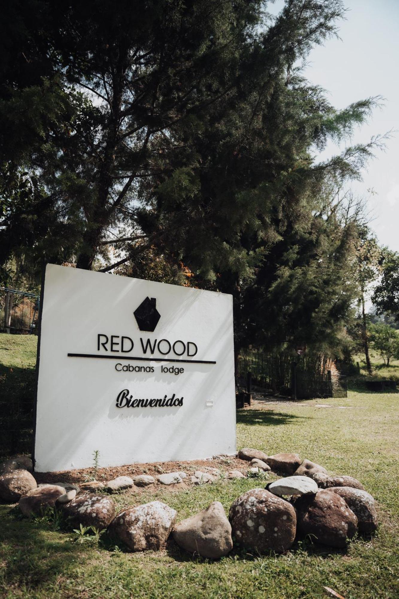 Redwood