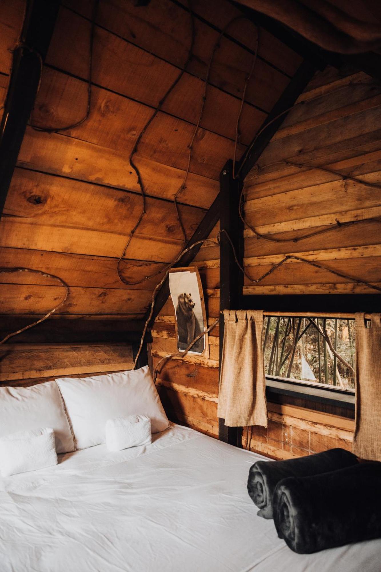 Redwood Campsite